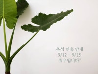 풍성한 한가위 보내세요°•❥ #아트스튜디오마음 #마음작업실 #성인취미미술... 아동미술교육 #미사미술수업 #미사미술학원... 