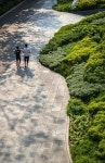 garden | 조경, 정원, 식물