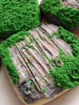 How to make Forest Moss cookies | 아이싱
