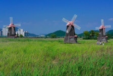 Sorae Ecology Park (소래습지생태공원) | Ecology, South korea... Ecology Park  (소래습지생태공원) | Ecology, South korea, Park