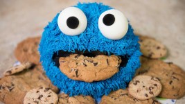 Feeding Your Content Calendar – Content Planning | DivvyHQ Blog | Monster birthday cakes, Cookie monster birthday, Monster cookies