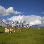 ★ 내가 뿌리 뽑아야 할 것들 ★   최대의 강적 게으름. 나는 괜찮고 남은 안된다는 안일. 어떻게든 되겠지라는 무책임. 작심 삼분 무기력. 남의... 