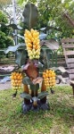 fruit/vegetables에 있는 경하 노님의 핀 | 채소 정원, 과일, 분재