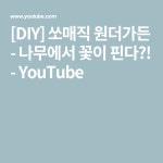 [DIY] 쏘매직 원더가든 - 나무에서 꽃이 핀다?! - YouTube | 블로그