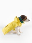 Dog Raincoat - For the Pet Home - RalphLauren.com | 강아지