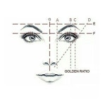 드로잉유메이크업(Drawing you) | great face drawing reference! | 아이브로우 메이크업, 눈썹 디자인