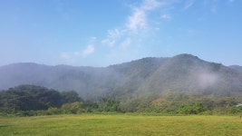 아침 안개로 착륙장 분위기 깡패네요.  오늘도 좋은 비행기상 기대합니다~~~😍    #패러글라이딩... 🐥 국가대표 금메달리스트 운영! 전국에서 가장... 