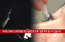 복지에 있는 핀