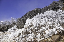 겨울철 한라산에 가야 하는 이유를 보여주는 영실코스 | Outdoor, Snow