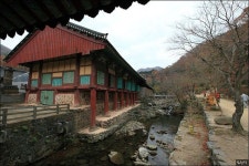 지붕 위의 작은 지붕, 솟을지붕을 보셨나요? | 집 스타일, 건물, 공예 아이디어
