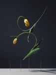 Postures Carl Kleiner | 꽃장식, 꽃, 플로리스트