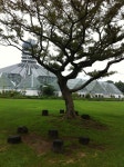 Yeomiji Botanical Garden in Jeju Seoguipo Joogmoon(제주 서귀포 중문) | Jeju, Places, Korea