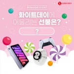 Pin on 어바웃펫