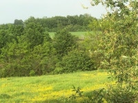 Lovely top of the hill | 풍경 사진