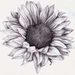 com/wp-content/uploads/images/sunflower-drawing-google-zoeken-tattoos-in-2019-sunflower-… | 해바라기 그림, 꽃그림... 