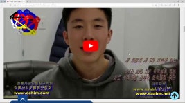 정통사암오행침구학회에 있는 핀