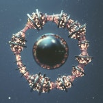 Artwork by Raw & Rendered #3d #design #cinema4D #render #progressbeforeperfection | 3d 아트