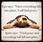 Quotes Of The Day - 12 Pics | 요가