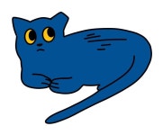 blue cat | 고양이