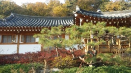 연천 조선왕가