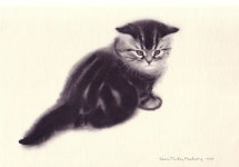Peter From Kittens: A Portfolio of Drawings 1956 Clare Turlay Newberry ~ 1903-1970 | 동물, 고양이, 그림