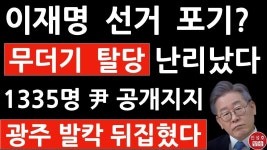 개한민국의비리들에 있는 핀