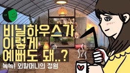 비닐하우스도 예뻐야돼! 정원생활의 아지트 재건축 이야기 _ 녹녹! 외할머니의정원 | NOCKNOCK - YouTube | 콘테이너 하우스, 작은 집, 둥근 집