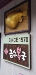 지선콩에 있는 홍지선님의 핀 - 2023