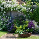 Image result for hide rotary spike in garden design | 정원 가꾸기, 코티지 가든, 자연 사진