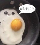 짤에 있는 장매진님의 핀 | 웃긴 밈, 귀여운 사랑 밈, 동물 말장난