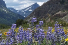 올해 여름휴가, 지상낙원 어때? : 네이버 포스트 | 바다