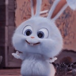 snowball ♡에 있는 핀