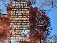 poet by 세탁소❤️ | 세탁소