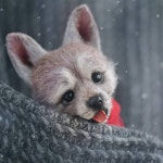 MamaDocha Makes the Cutest Plush Dogs You’ll Fall in Love With!(이미지 포함)