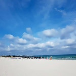 효리네 민박 촬영지 BEST 7 둘러보기 : 네이버 포스트