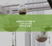플랜테리어 초보 탈출 TIP! 나만의 실내 정원, 테라리움 만들기 : 네이버 포스트 | 실내정원, 테라리움, 정원