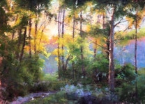 Landscape 18x24, pastel on uart 400 grit, Jacob Aguiar | 유화, 숲, 수채화