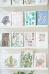 The ZEN Succulent | Cards | 그림