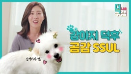 [KT][이벤트] [#이벤트] 당신의 덕질을 위한 덕후 연구소, #더쿠랩... 이벤트,더쿠랩,댕댕이,반려동물,덕후,덕질,애견,강아지,반려견 | 강아지