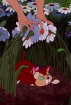 [아이폰 배경화면] 애니 클래식 디즈니 배경화면 2번째 | Disney alice, Alice in wonderland aesthetic, Disney art