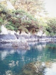 Jeju Island(제주도) | Jeju island, Island, Beautiful islands