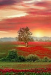 miriam mendezz - Google+ | 석양, 풍경 사진, 자연 사진
