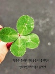 안경쓴날 님의 포스팅 | 긍정적인 생각, 애니메이션, 생각