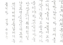 t115A w2 신혜정 01