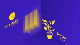 Pin on 디모그디 야놀자
