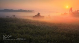 Morning of Farm 안성목장의 아침 (With images) | Sunrise sunset, Sunrise, Sunset