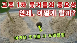 Pin on 영농. 육묘