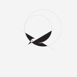 좋아요 1,638개, 댓글 17개 - Instagram의 Logolemon(@logolemon)님: Bird logo by @shibupg  Become a better logo desi… | Pet... 