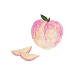 땡스아트 thanks art 복숭아 peach 그림 일러스트 오일파스텔 illust oilpastel | 오일 파스텔 그림, 유성 파스텔, 파스텔 그림