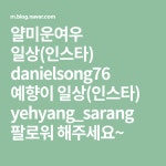 얄미운여우 일상(인스타) danielsong76 예향이 일상(인스타) yehyang_sarang 팔로워 해주세요~ | 가방 뜨개질, 뜨개질